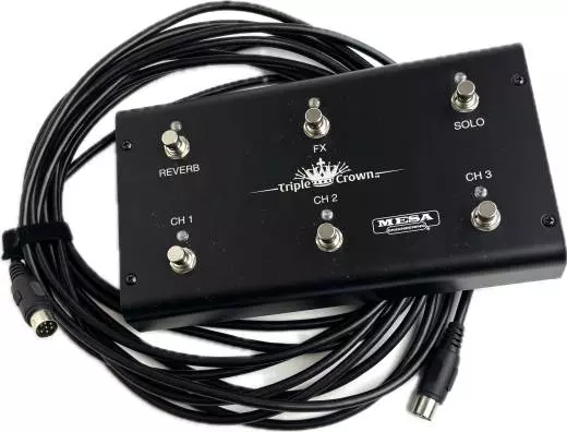 Mesa Boogie TC100 Head 2